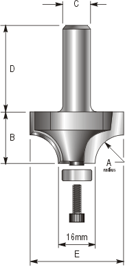 Large Ovolo/Round