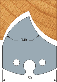 Profile 209 (50x5.5)