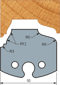 Profile 217 (50x5.5)