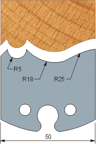 Profile 222 (50x5.5)