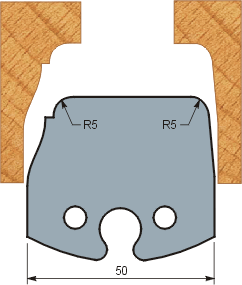 Profile 231 (50x5.5)