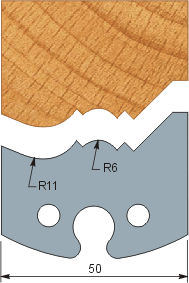 Profile 241 (50x5.5)