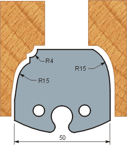 Profile 252 (50x5.5)