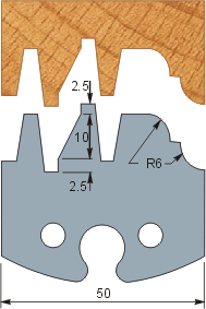 Profile 257 (50x5.5)