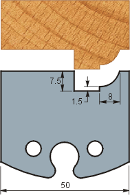 Profile 261 (50x5.5)