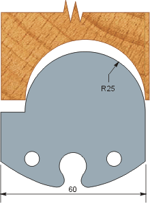 Profile 009 (60x5.5)